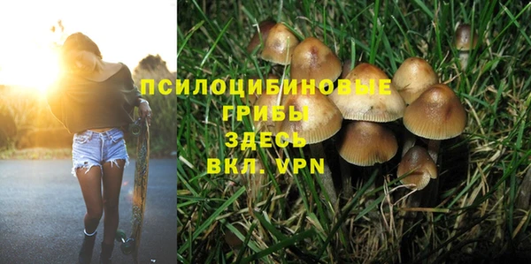 ALPHA-PVP Ессентукская