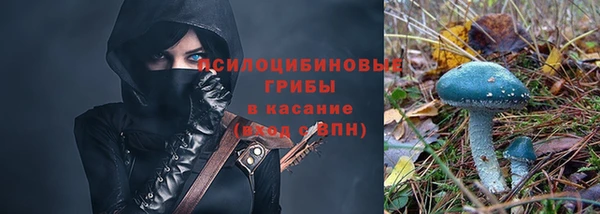 каннабис Новосибирск