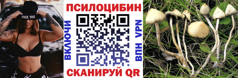 где найти   Барабинск  mega зеркало  Галлюциногенные грибы мухоморы 