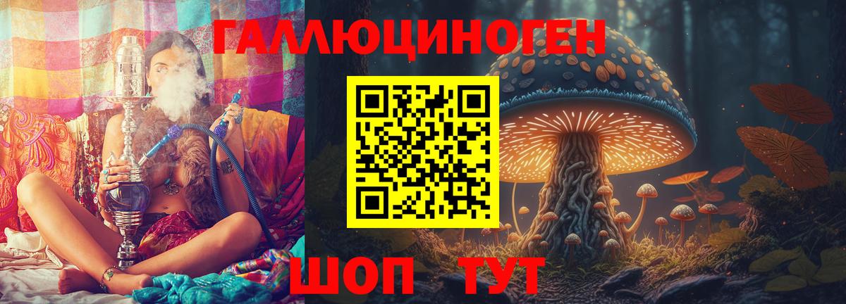 Галлюциногенные грибы Cubensis Барабинск